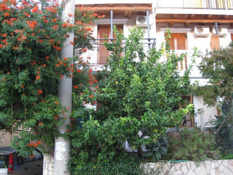 Valasis Σπίτι διακοπών Αργάσι